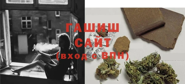 гидра Богданович