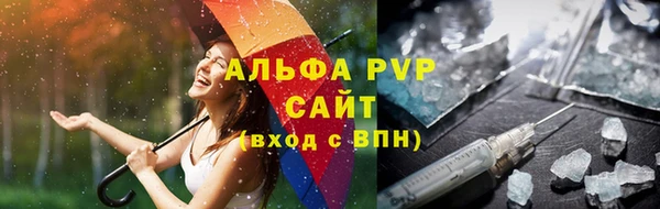 гидра Богданович