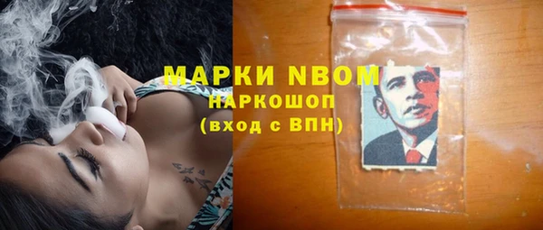 гидра Богданович