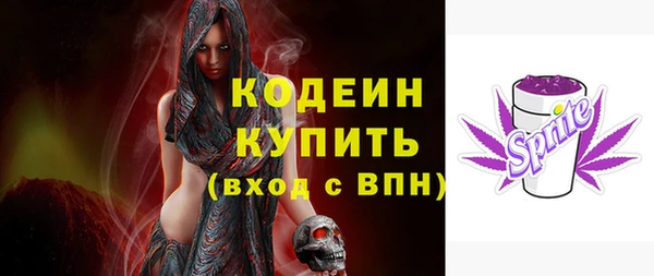 гидра Богданович