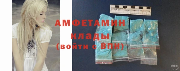 гидра Богданович