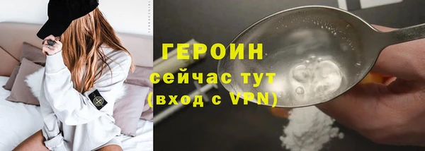 гидра Богданович