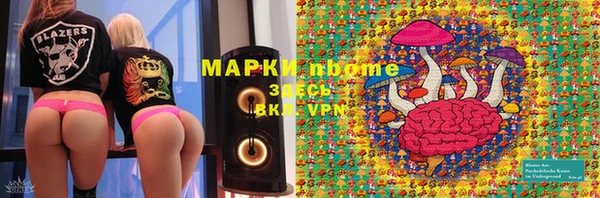 гидра Богданович