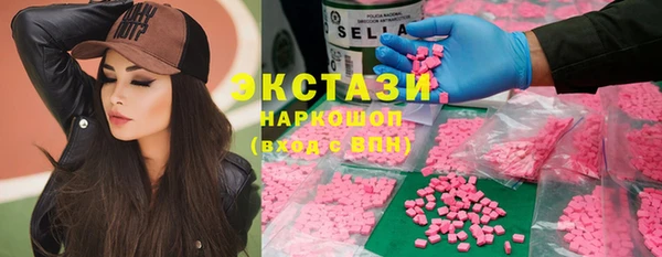 гидра Богданович